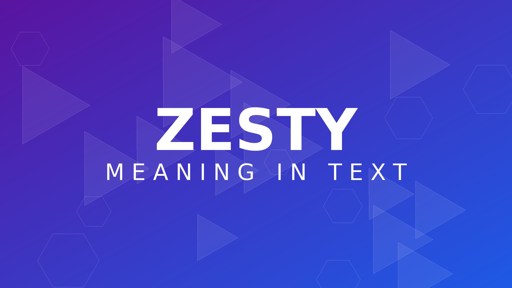 zesty meaning in text